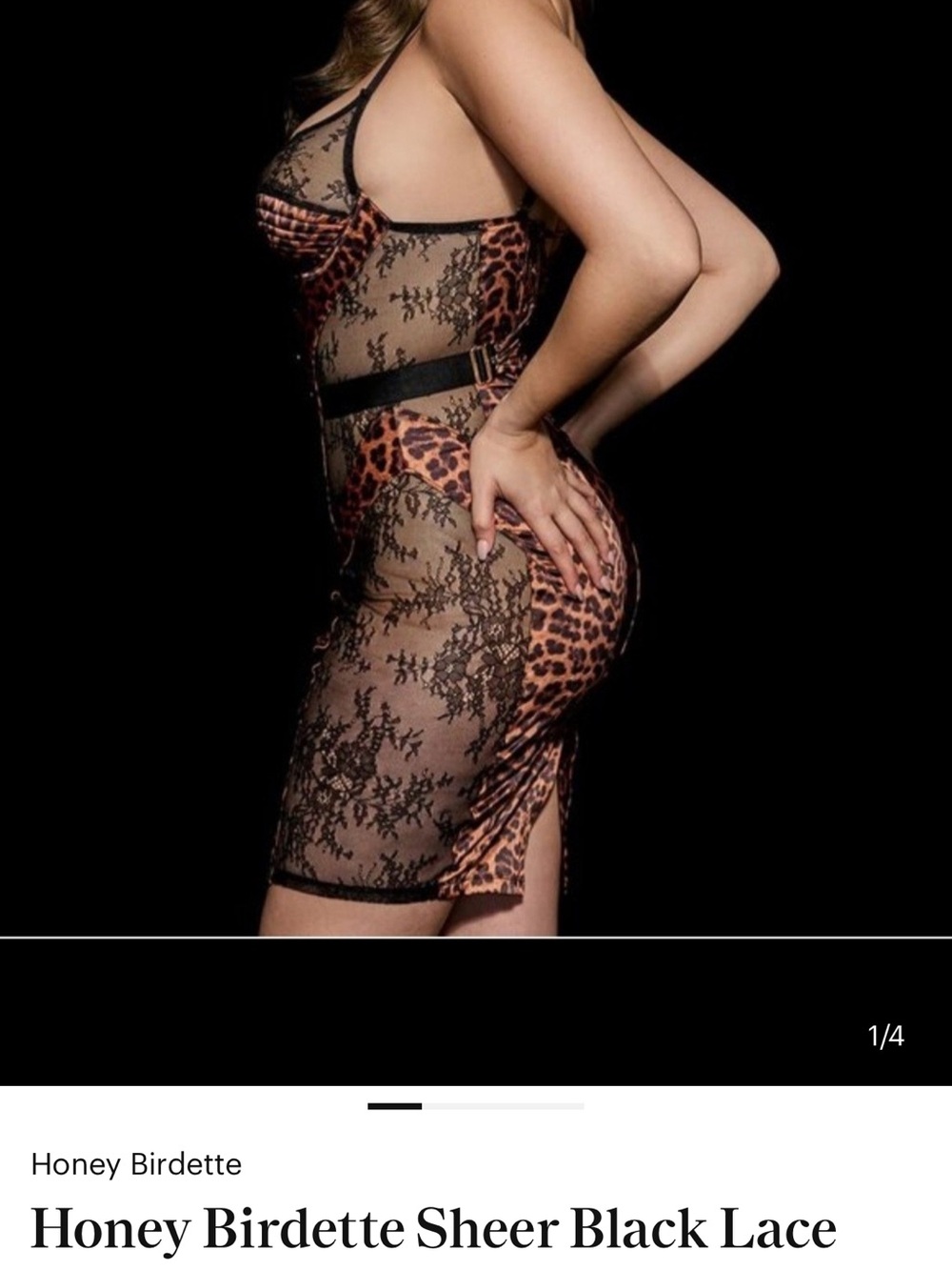 Honey Birdette Black Lace & Leopard-Print Sheer Slip